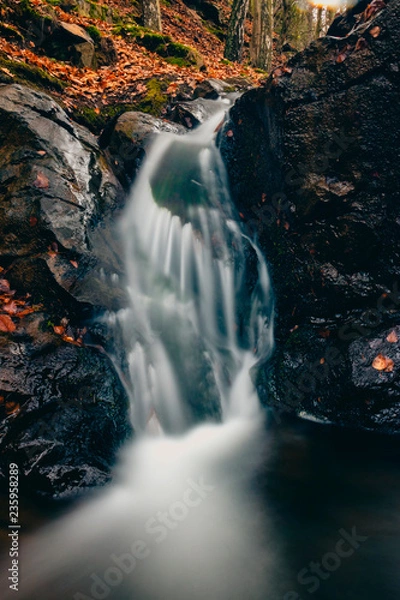 Obraz waterfall in forest