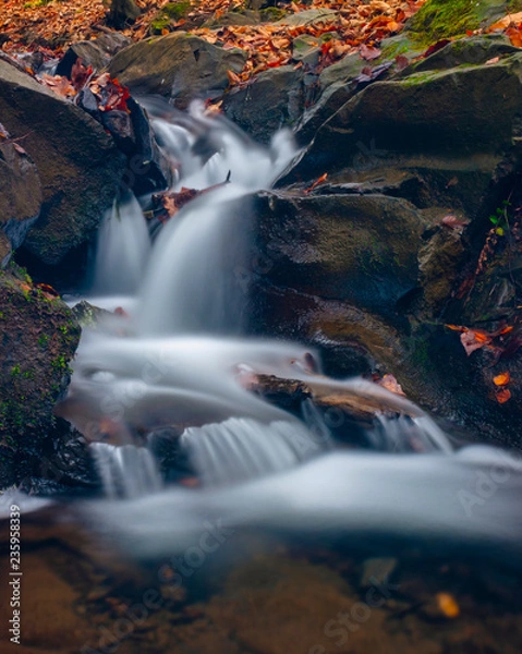 Obraz waterfall in forest