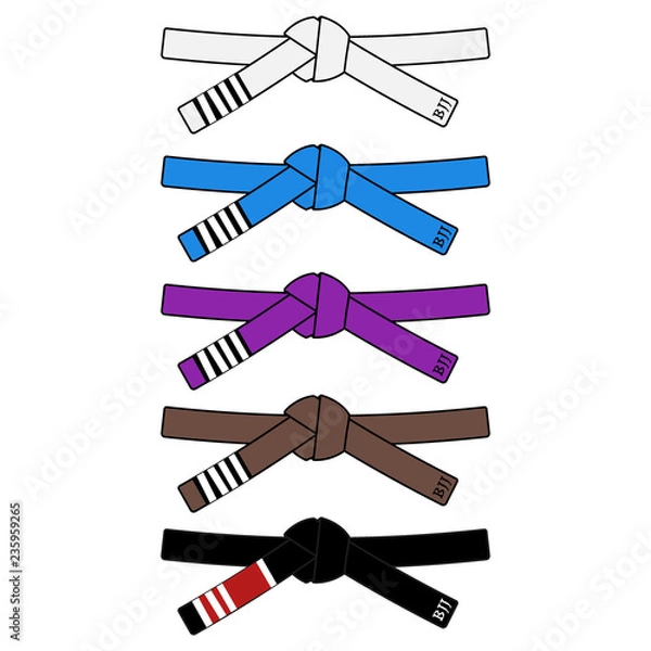 Obraz Bjj belts set
