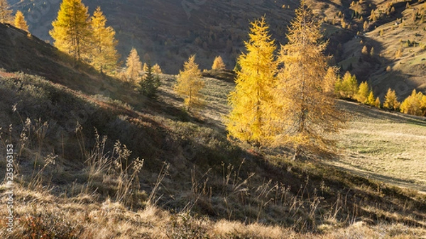 Fototapeta autunno alpe di siusi