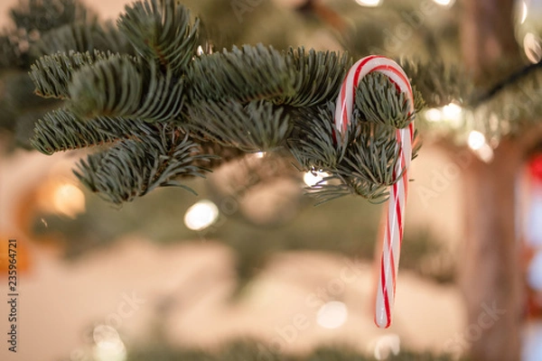 Obraz Holiday Decorations, ornament on a authentic christmas tree, with candy cane and snow shoe hanging from tree with lights in the background