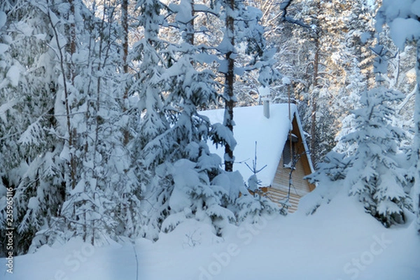 Fototapeta Зимний домик