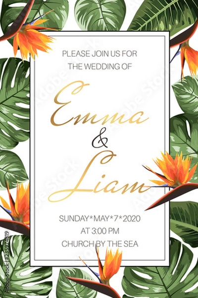 Fototapeta Wedding event invitation RSVP card template. Rectangular border frame decorated with green monstera philodendron split leaves and bright orange strelitzia bird of paradise flowers. Luxury style.