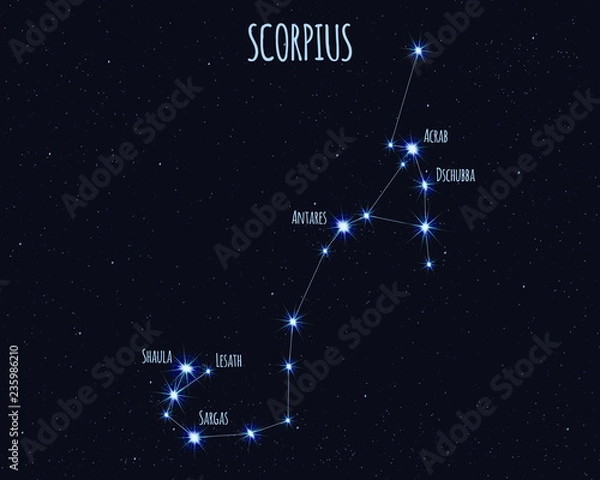 Obraz Scorpius (The Scorpion) constellation, vector illustration with the names of basic stars against the starry sky
