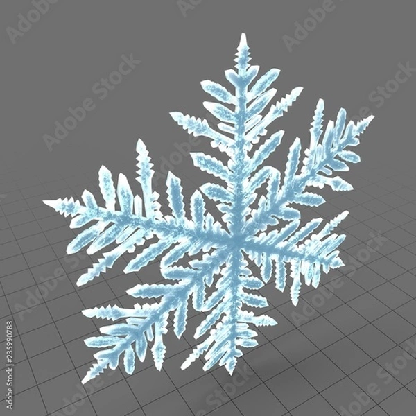 Obraz Snowflake