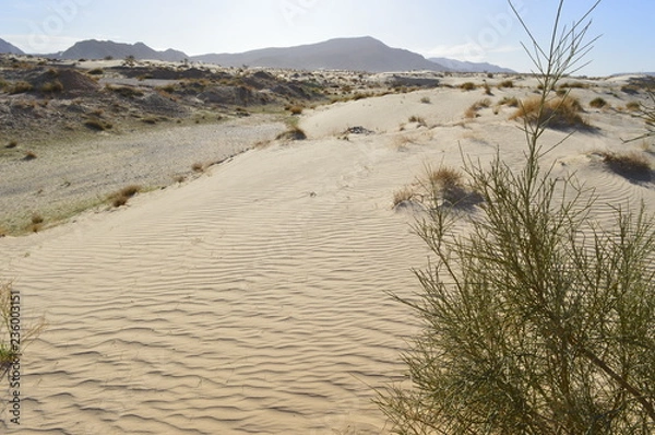 Obraz The sand in the desert
