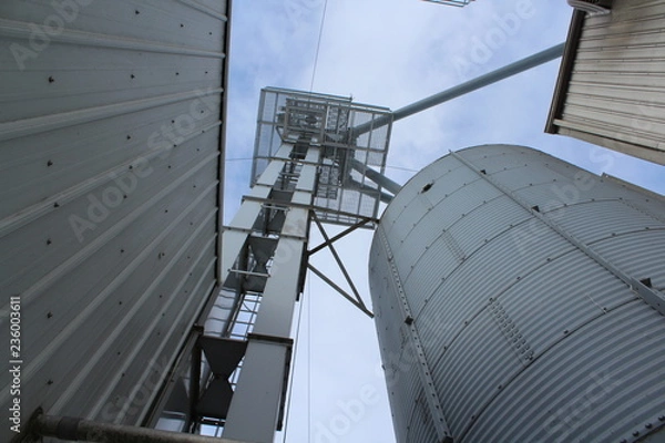 Fototapeta Grain Leg