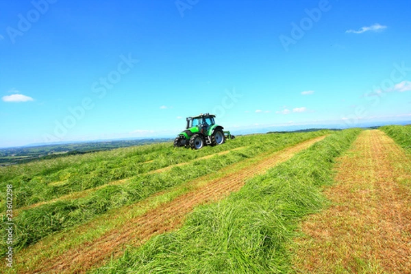 Fototapeta Haymaking in Sotland