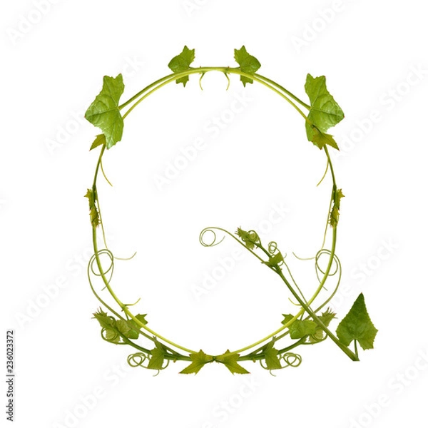 Fototapeta Letter and English alphabet from Green Tree branches