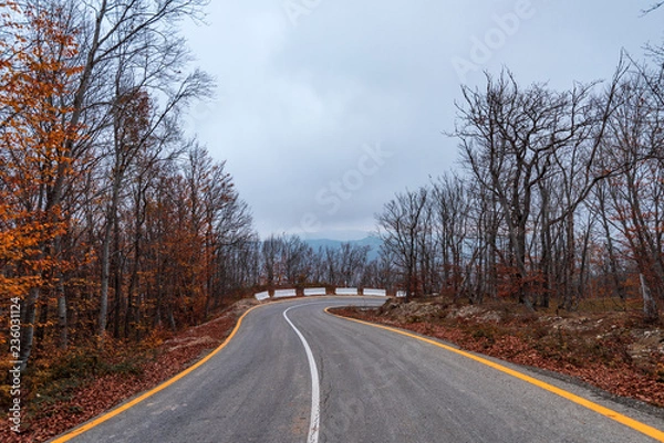 Fototapeta Highway in the autumn mountain forest