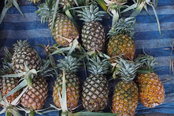 Obraz OLYMPUS DIGITAL CAMERA