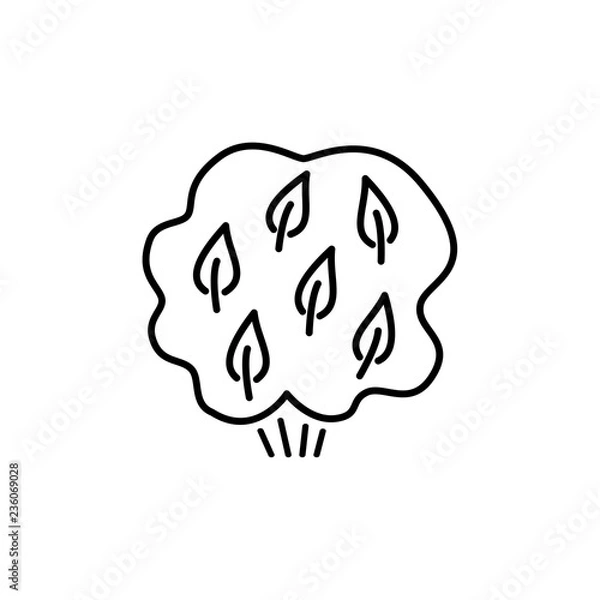 Fototapeta Black & white vector illustration of deciduous plant. Line icon of green foliage shrub & bush with leaves. Gardening & landscaping. Isolated object