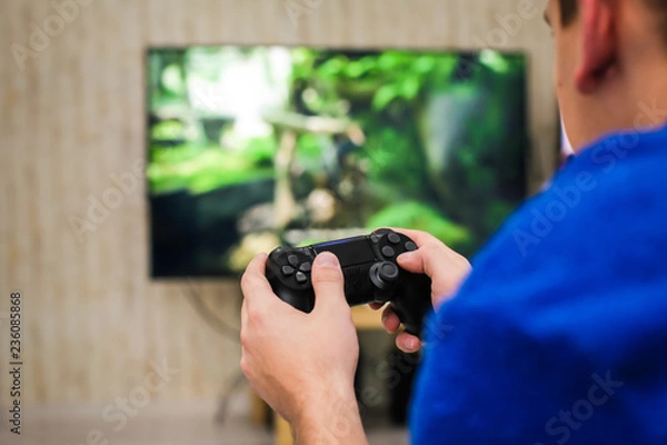 Fototapeta Back view of young gamer playing video game using his controller.