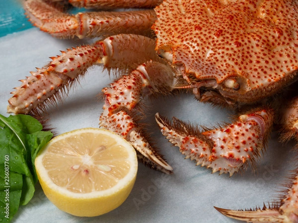 Fototapeta Whole boiled crab with lemon and greens.