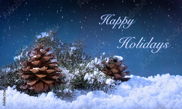 Obraz Happy Holidays Text on a Winter Night