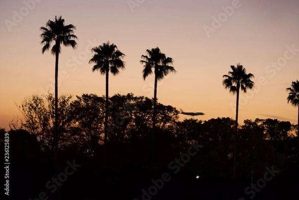 Fototapeta 夕暮れのグラデーション