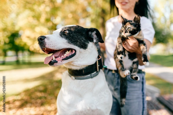 Obraz Portrait of dog on background of young girl with kitten in her hands