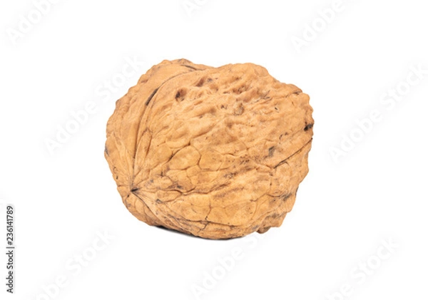 Fototapeta Large walnut isolate