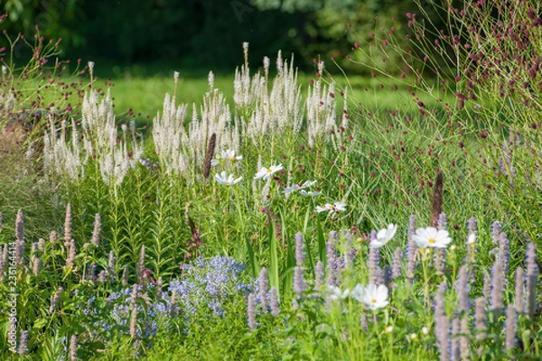 Obraz green grass and flowers