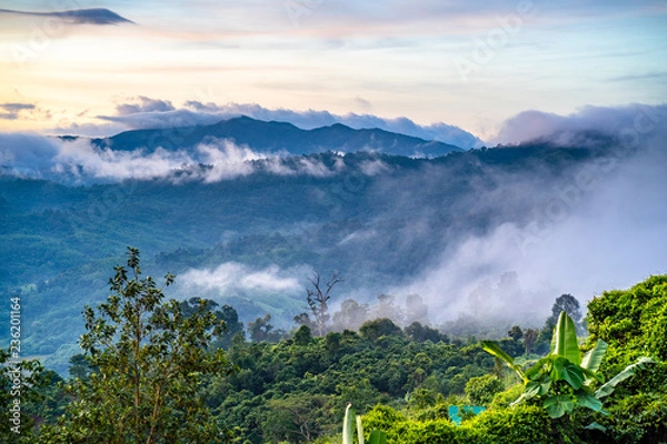 Obraz Mountains and fog in the morning.
