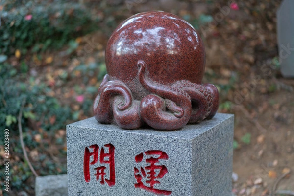 Fototapeta Octopus