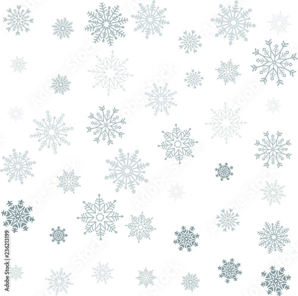 Obraz Gray Scale Crystal of snow pattern