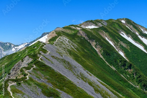 Obraz 夏の小蓮華山