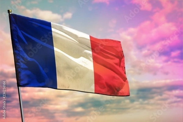 Fototapeta Fluttering France flag on colorful cloudy sky background. Prosperity concept.