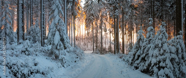 Obraz Abendrot im Winterwald