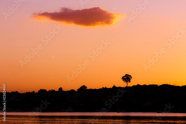 Obraz One tree, one cloud, and water, at sunset
