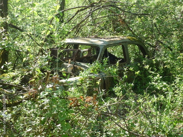 Obraz Epave en forêt