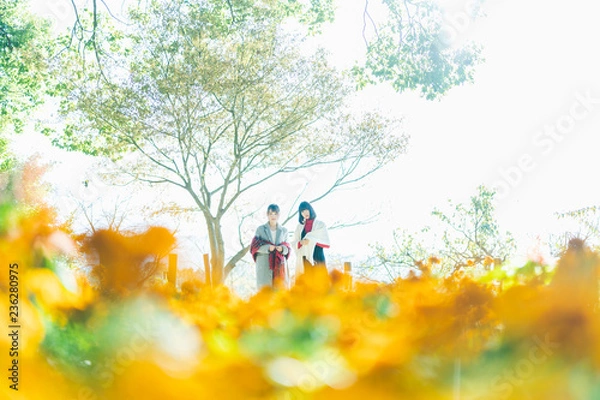 Fototapeta 公園の女性