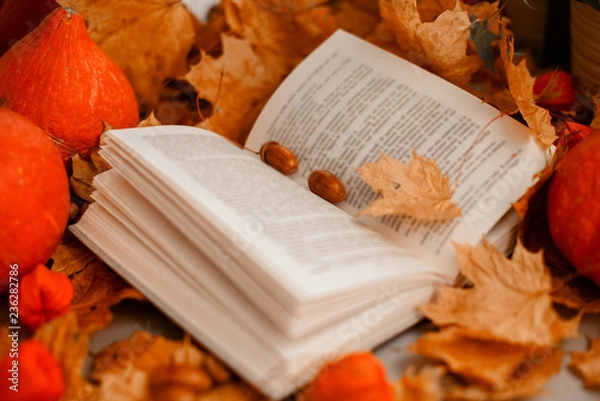 Obraz open book with leaves