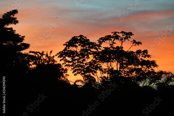 Fototapeta Sunset with tree shadow