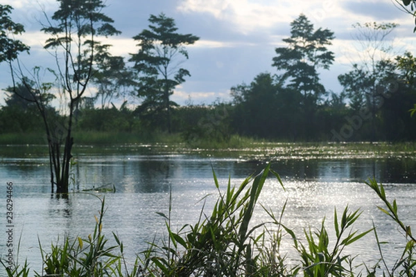 Fototapeta Water reflections