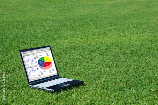 Obraz laptop w trawie
