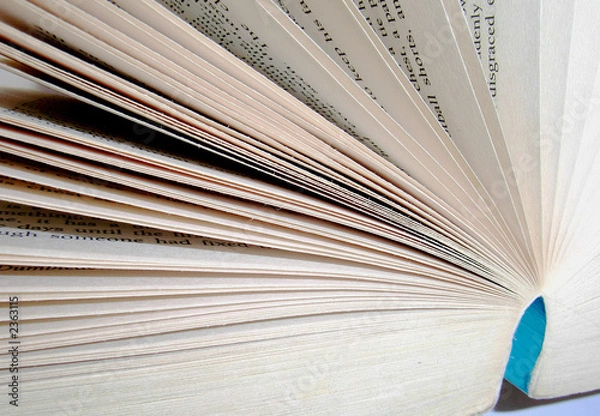 Fototapeta pages de livre