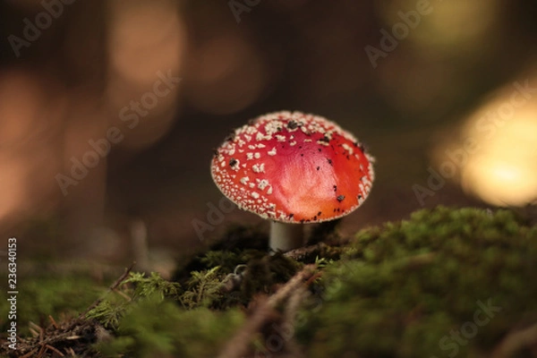 Obraz Lüsen, Südtirol 