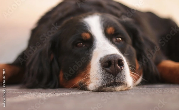 Obraz Lüsen, Südtirol 