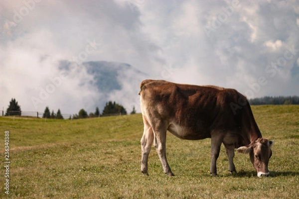 Obraz Lüsen, Südtirol 