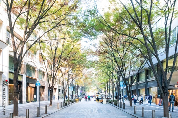 Obraz (東京都ｰ都市風景)丸の内オフィス街の秋２