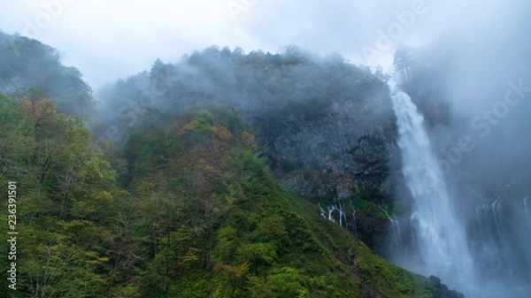 Fototapeta 華厳の滝