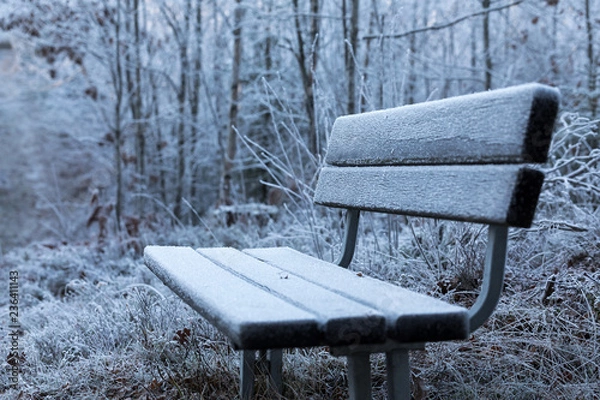 Fototapeta Frostbitten bench in forest