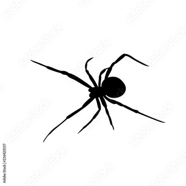 Obraz wektor, odizolowany, pająk jeden na białym tle