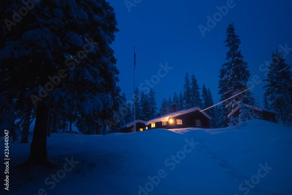 Obraz Forest scandinavian cabin in snowy woodland. Winter in Norway.