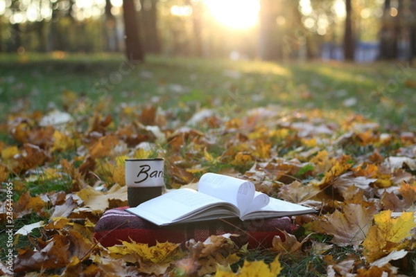 Obraz autumn in the park