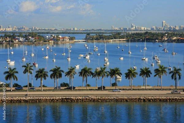 Obraz Miami day,Florida