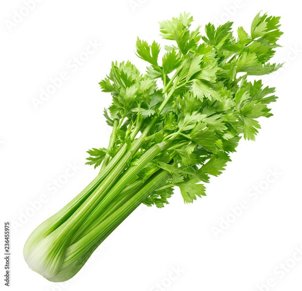 Fototapeta Fresh celery isolated on white background