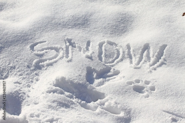 Obraz Snow. Hand drawn “snow” in the fresh snow. Hand writing sigh snow in the snow. Winter concept background texture. Text snow with copy space.