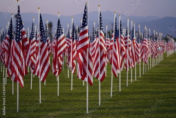 Fototapeta Patriotic flag